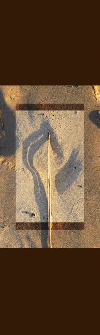 Kakemono – Straw in Sand